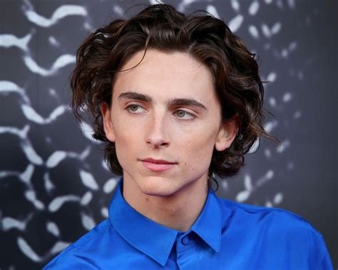 timothee chalamet.